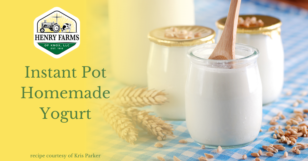 Instant Pot Yogurt (Sous Vide or Yogurt Mode)